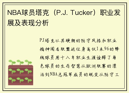 NBA球员塔克（P.J. Tucker）职业发展及表现分析